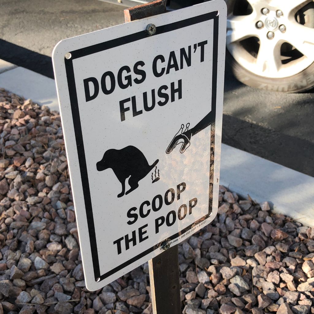 Humorous sign instructing dog owners to scoop their pet's poop
